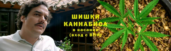 PSILOCYBIN Беломорск